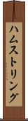 ハムストリング Scroll