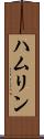 ハムリン Scroll