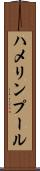 ハメリンプール Scroll