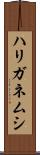 ハリガネムシ Scroll