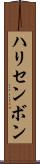ハリセンボン Scroll