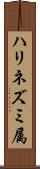 ハリネズミ属 Scroll