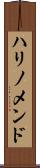 ハリノメンド Scroll