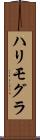 ハリモグラ Scroll