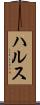 ハルス Scroll