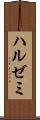 ハルゼミ Scroll
