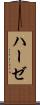 ハーゼ Scroll
