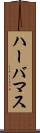 ハーバマス Scroll