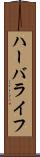 ハーバライフ Scroll