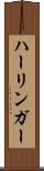 ハーリンガー Scroll