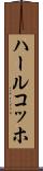 ハールコッホ Scroll