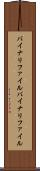 バイナリファイル Scroll