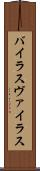 バイラス Scroll