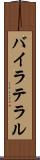 バイラテラル Scroll