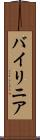 バイリニア Scroll