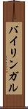 バイリンガル Scroll