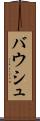 バウシュ Scroll