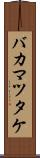バカマツタケ Scroll