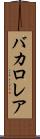 バカロレア Scroll
