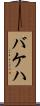バケハ Scroll