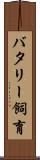 バタリー飼育 Scroll