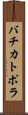 バチカトポラ Scroll