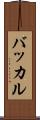 バッカル Scroll
