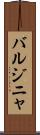 バルジニャ Scroll