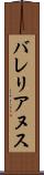 バレリアヌス Scroll