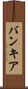 バンキア Scroll