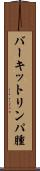 バーキットリンパ腫 Scroll