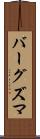 バーグズマ Scroll