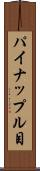 パイナップル目 Scroll