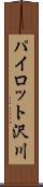 パイロット沢川 Scroll
