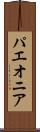 パエオニア Scroll