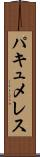 パキュメレス Scroll