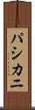 パシカニ Scroll