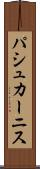 パシュカーニス Scroll