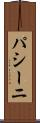 パシーニ Scroll