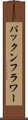パックンフラワー Scroll