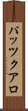 パッツクアロ Scroll