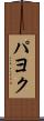 パヨク Scroll