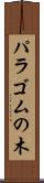 パラゴムの木 Scroll