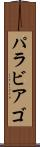 パラビアゴ Scroll