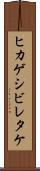 ヒカゲシビレタケ Scroll