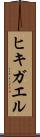 ヒキガエル Scroll
