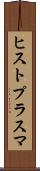 ヒストプラスマ Scroll