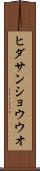 ヒダサンショウウオ Scroll