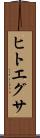 ヒトエグサ Scroll