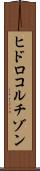 ヒドロコルチゾン Scroll